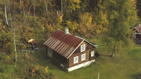 Cabin in the deep woods Vídeo Stock 95958984