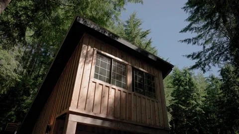 Cabin in Dense Green Forest Stockbeeldmateriaal 233282698