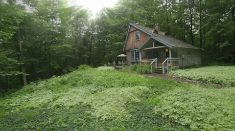 CABIN Video stock 4123554