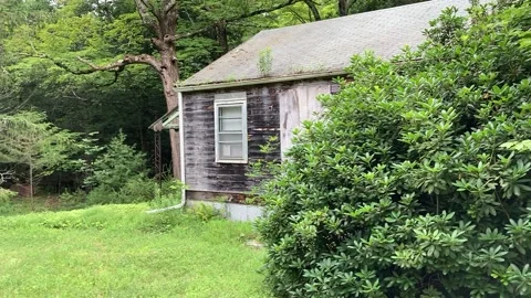 Cabin Stock Footage 167373142