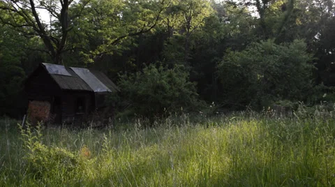 Cabin in the forest Stock Footage 39458047
