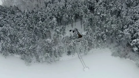 Cabin in forest Stock Footage 101540649