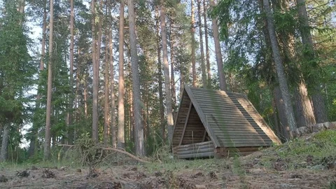 Cabin in the forest Stock Footage 113828068