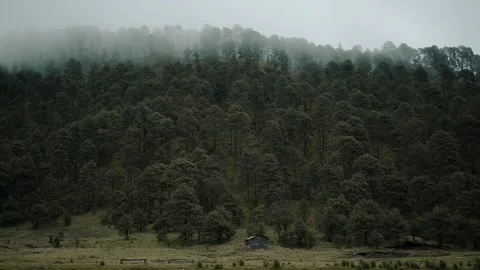 Cabin in a forest in the mountain medium shot Stock Footage 339843388
