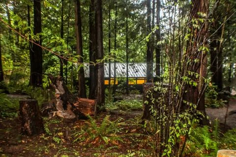 Cabin in the forest Stock Photos