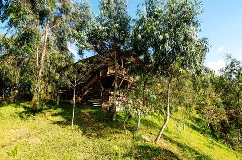 Cabin in the forest Foto stock
