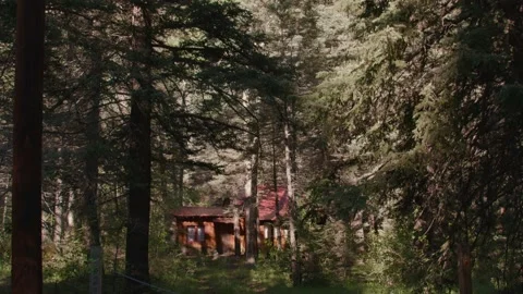 Cabin hidden in the woods Stock Footage 204870687