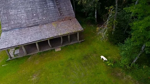 A cabin house in the middle of the forest Stock Footage 72745695