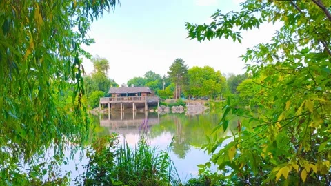 Cabin house surrounded by lush trees and foliage at an outdoor park by a lake Video stock 317134681