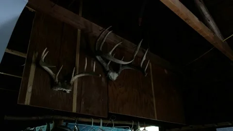 Cabin Interior Antlers 4K Stock Footage 160621950