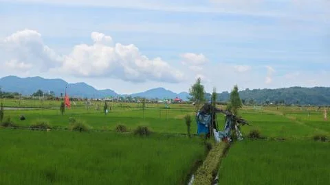 Cabin in the middle of rice fields surrounded by hills Stock Photos