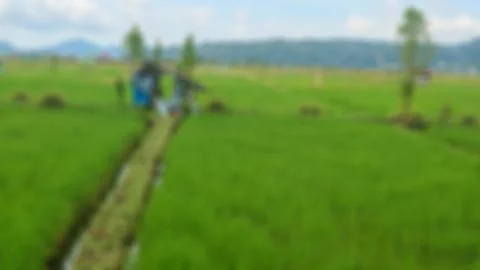Cabin in the middle of the rice fields surrounded by hills Stock Photos