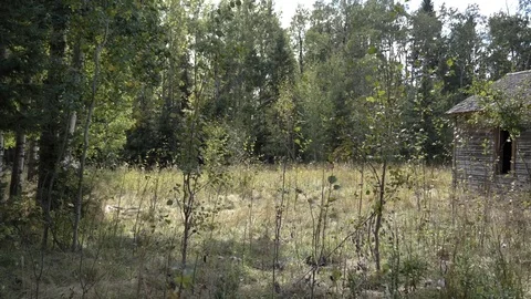 Cabin Pan Stock Footage 80440046