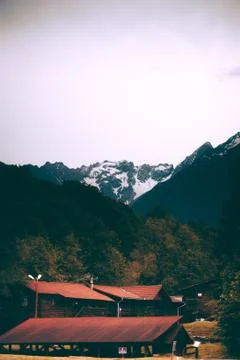 The Cabin 库存照片