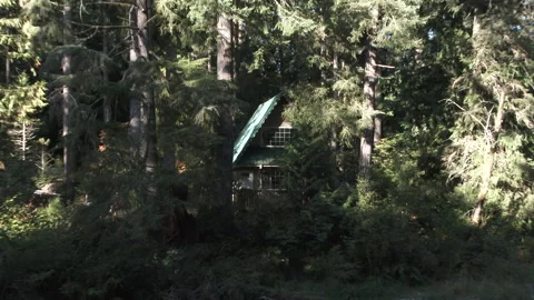 Cabin On A River Bend In Washington State Forest Stock Footage 318043983