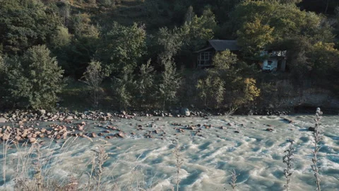 Cabin by the river Stock Footage 95238921