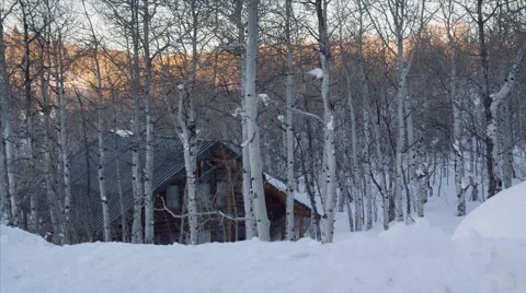 Cabin in Snow Stock Footage 44346658