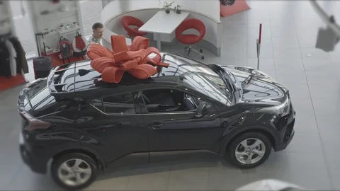 In the cabin there is a car with a large red bow. Video stock 101112624