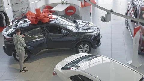 In the cabin there is a car with a large red bow. Stock Footage 101112761