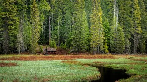 Cabin in the Wilderness Stock Photos