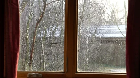 Cabin window vista of trees with falling snow, silver birch, UK, 4k Stock-Footage 86474205