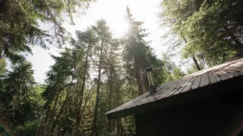 Cabin in woods with fast moving clouds overhead  dense forest Stockbeeldmateriaal 233282560