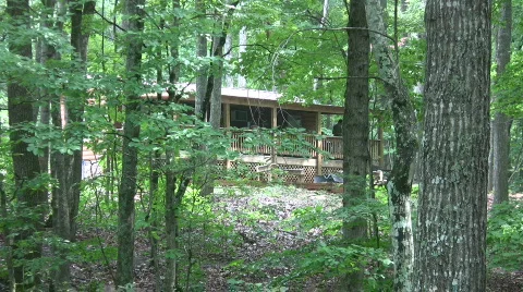 Cabin in the woods Stock Footage 488200