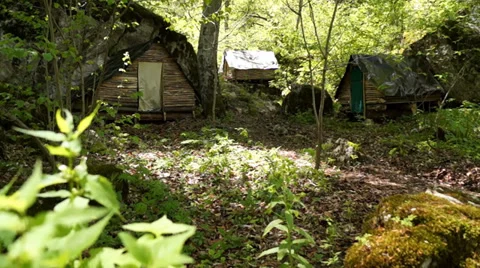 Cabin in the woods Stock Footage 37784251