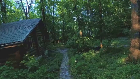 Cabin in the woods- Vídeos de archivo 89639735