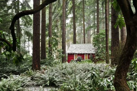 Cabin in the Woods Stock Photos