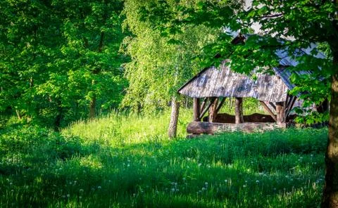 Cabin in the woods Stock Photos