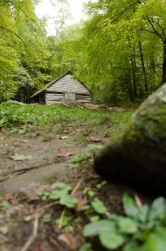 Cabin in the woods Stock Photos