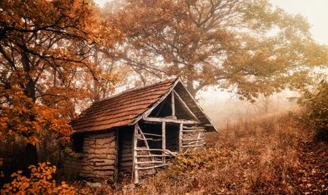 Cabin in woods Stock Photos