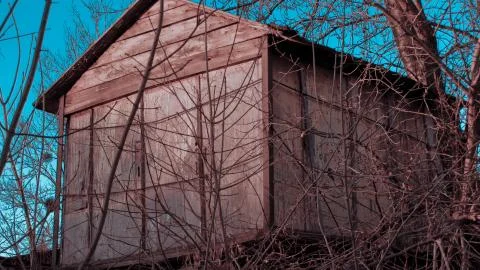 Cabin in woods Stock Photos