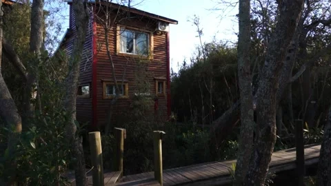 Cabin in the woods sunset Stock Footage 196447458