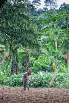CABINDA/ANGOLA - 09 JUN 2010 - Rural farmer to till land in Cabinda. Angola,  Stock Photos