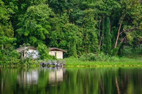 Cabins in the lake and green forest. Stock Photos