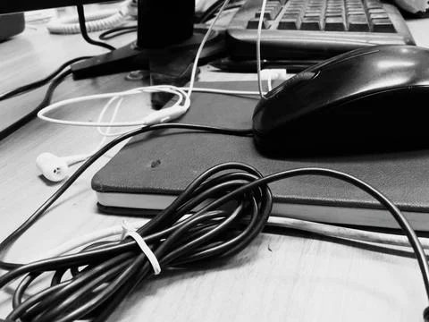 Cable and mouse 写真素材