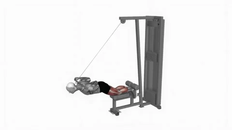 Cable Assisted Inverse Leg Curl fitness exercise workout animation male muscle h Stockbeeldmateriaal 243989265