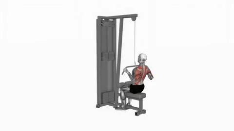 Cable Bar Lateral Pulldown fitness exercise workout animation male muscle highli Видео 243983297