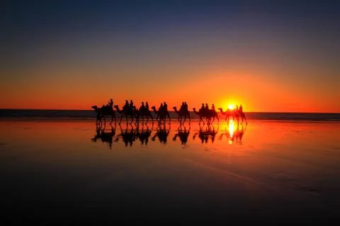Cable Beach Camels Photos