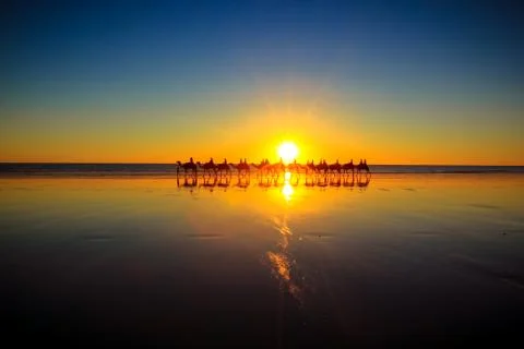 Cable Beach Camels Photos