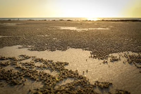 Cable beach pearls Stock Photos