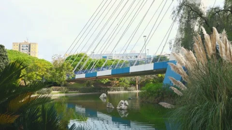 Cable Bridge over Parque de la Represa, Marbella, Malaga, Andalusia Spain. 스톡 동영상 327510746