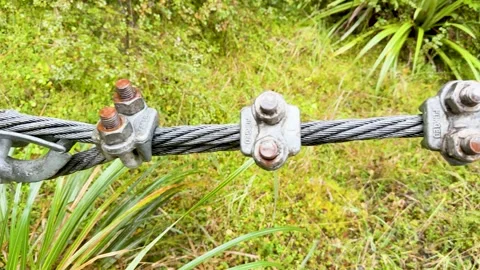 Cable Bridge Structure in Lush Greenery Stock Footage 311426250