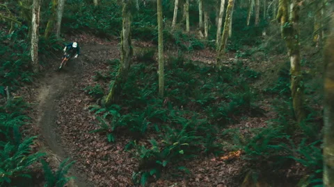 Cable cam of a Mountain Biker riding through a misty forest Stock Footage 231819050