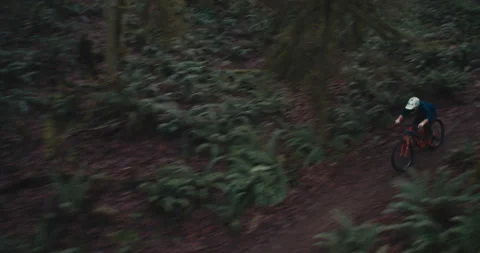 Cable cam of a Mountain Biker riding through a misty forest Stock Footage 231819223