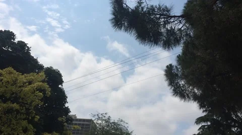 Cable car and in the trees Video stock 64645098