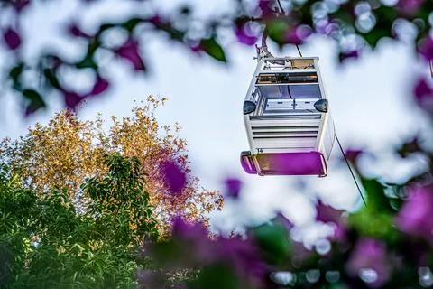 Cable car cab on background of sky, flowers, and plants Stock Photos