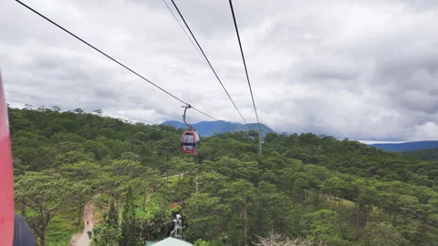 A cable car cabin moving over the tops of pine trees. Stock Footage 317886843